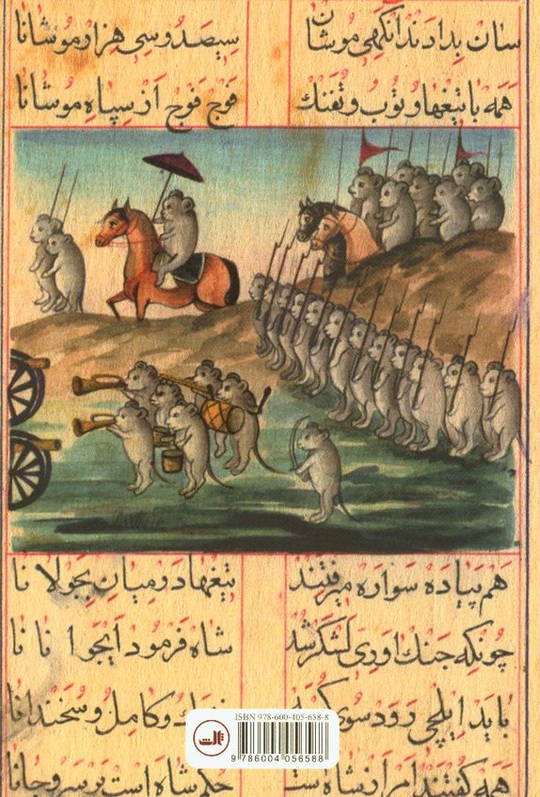 کاور پشت